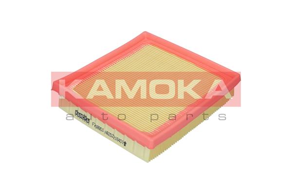 Air Filter - F258901 KAMOKA