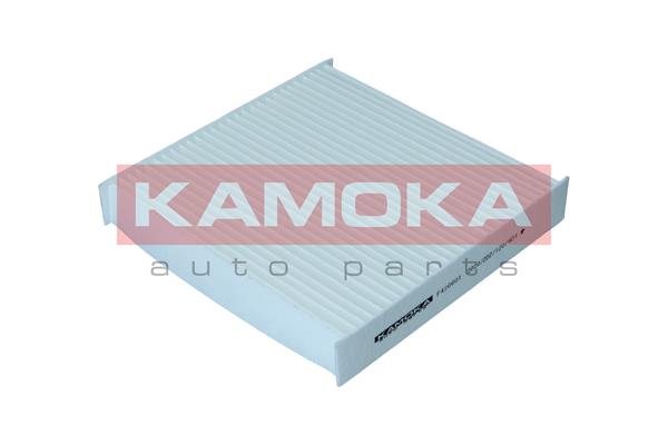 Filter, interior air - F420601 KAMOKA