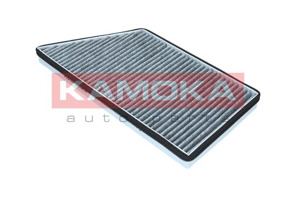 filtras, salono oras - F501601 KAMOKA