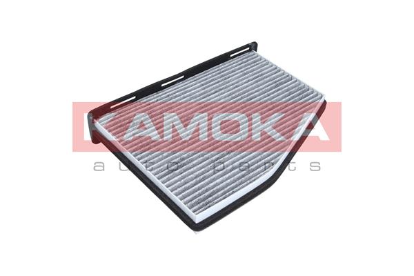 filtras, salono oras - F501701 KAMOKA