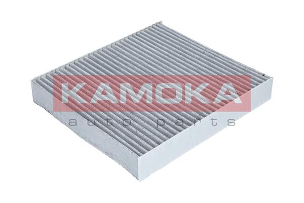 Filter, interior air - F503801 KAMOKA