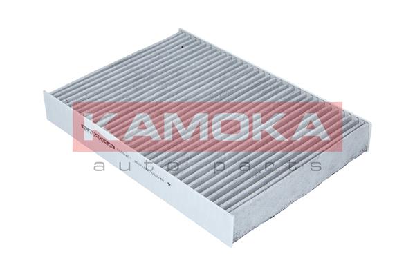 Filter, interior air - F509401 KAMOKA