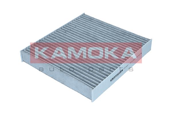 filtras, salono oras - F513401 KAMOKA