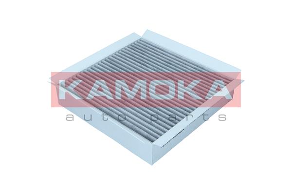 Filter, interior air - F520301 KAMOKA