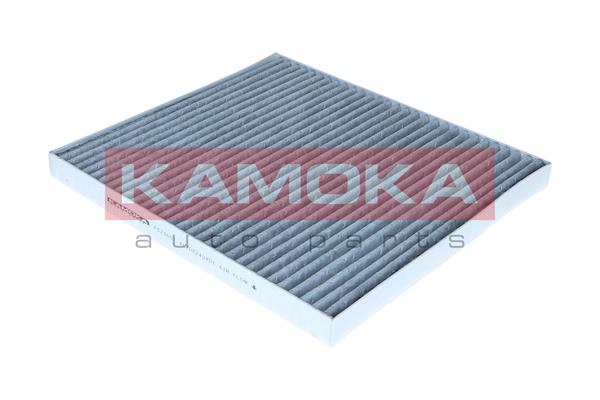 Filter, interior air - F523601 KAMOKA