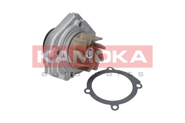 vandens siurblys - T0013 KAMOKA