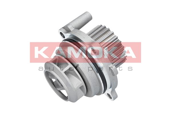 Pompa acqua - T0029 KAMOKA