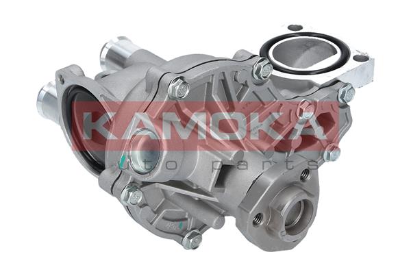 Water Pump - T0043 KAMOKA