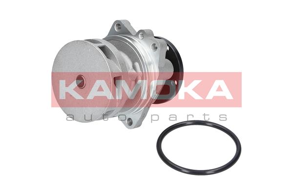 Water Pump - T0059 KAMOKA
