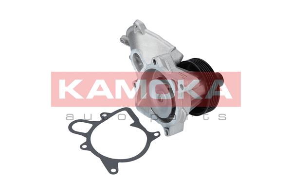 Pompa acqua - T0063 KAMOKA