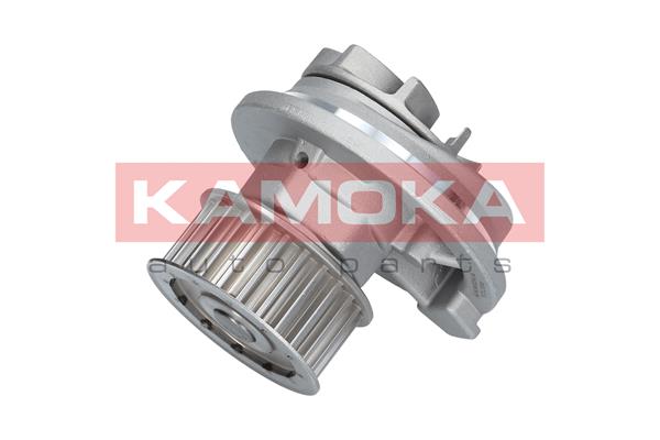 Pompa acqua - T0069 KAMOKA
