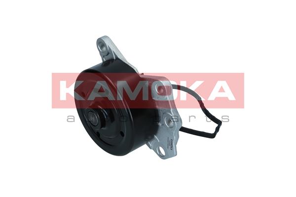 Pompa acqua - T0088 KAMOKA