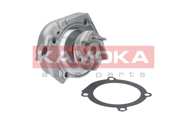 vandens siurblys - T0115 KAMOKA