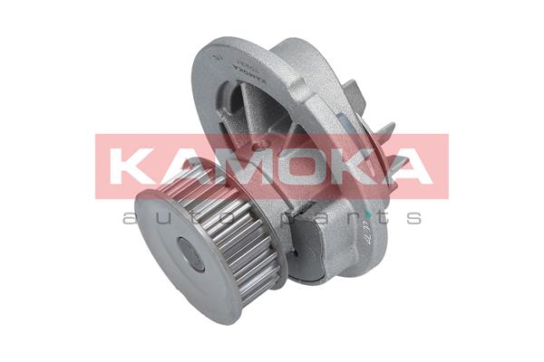Pompa acqua - T0231 KAMOKA