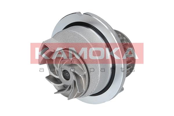 Pompa acqua - T0236 KAMOKA