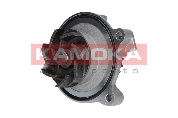 vandens siurblys - T0271 KAMOKA