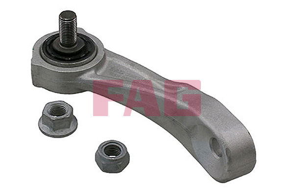 Asta/Puntone, Stabilizzatore - 818 0600 10 Schaeffler FAG