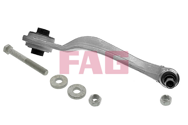 Track Control Arm - 821 0219 10 Schaeffler FAG