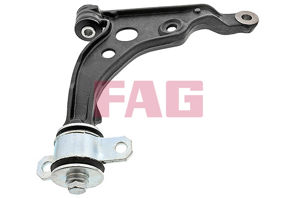 Track Control Arm - 821 0810 10 Schaeffler FAG