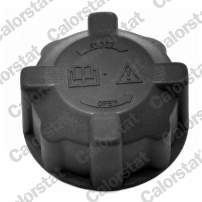 Sealing Cap, coolant tank - RC0024 CALORSTAT by Vernet