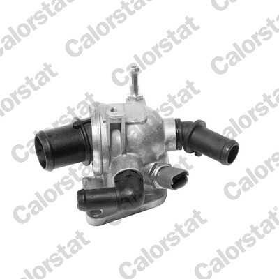 Thermostat, coolant - TH6981.88J CALORSTAT by Vernet