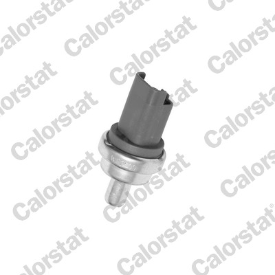 Sensor, coolant temperature - WS2609 CALORSTAT by Vernet