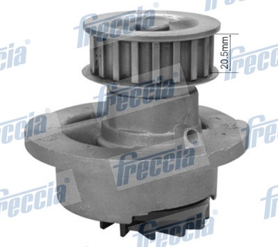Piston Ring Kit - FR10-505250 FRECCIA