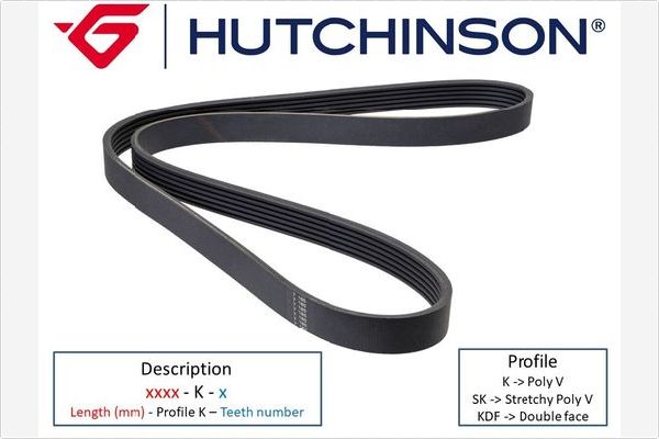 V-Ribbed Belt - 1740 K 6 HUTCHINSON