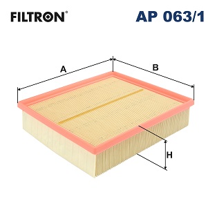 Air Filter - AP 063/1 FILTRON