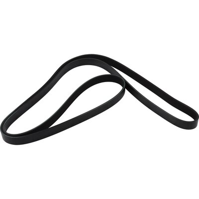 Cinghia Poly-V - 3618100300 JP GROUP