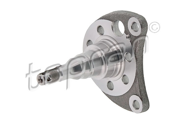 Kingpin, axle beam - 102 820 TOPRAN
