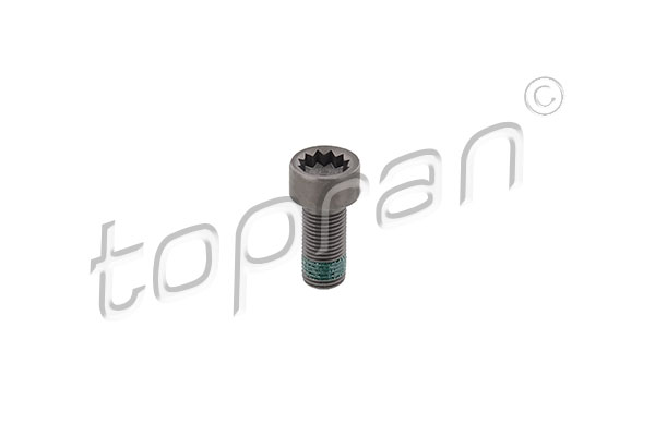 Flywheel Bolt - 117 243 TOPRAN
