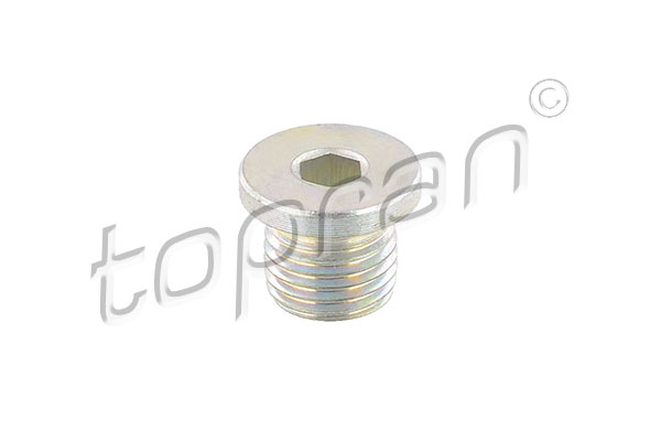 Sealing Plug, oil sump - 115 349 TOPRAN