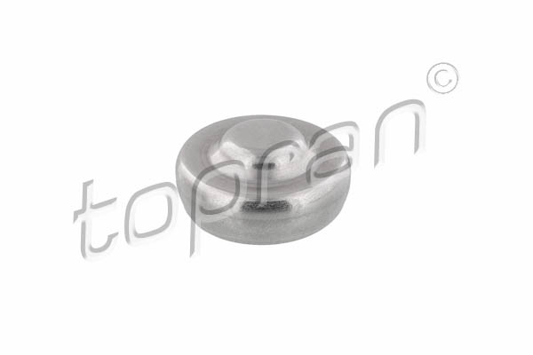 Plug, rocker arm shaft mounting bore - 305 344 TOPRAN