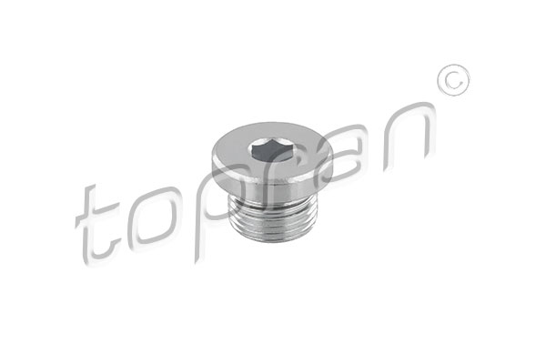 Screw Plug, transmission housing - 503 554 TOPRAN
