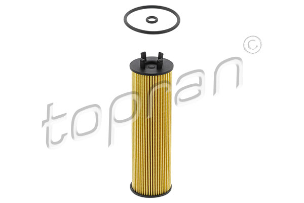 Filtro olio - 119 698 TOPRAN