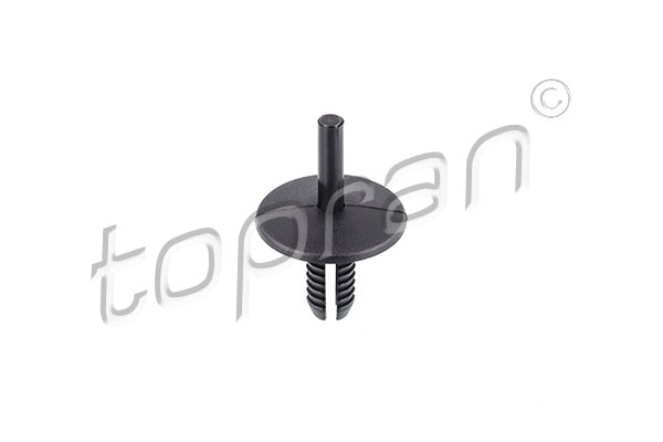 Rivetto d'espansione - 501 944 TOPRAN