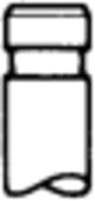 Outlet valve - 160055 TRW Engine Component