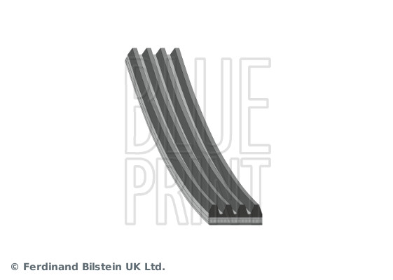 V-Ribbed Belt - AD04R855 BLUE PRINT