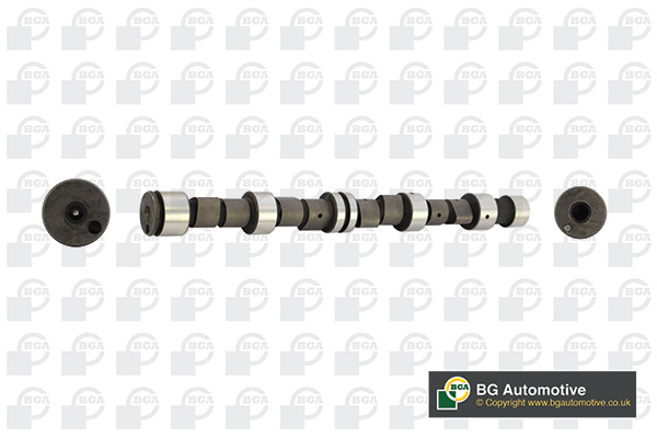 Camshaft - CS4365 BGA