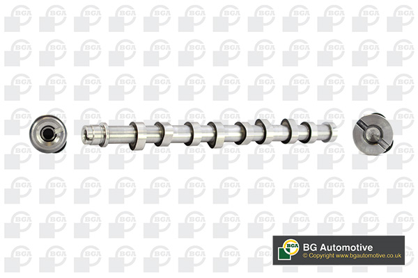 Camshaft - CS4573 BGA