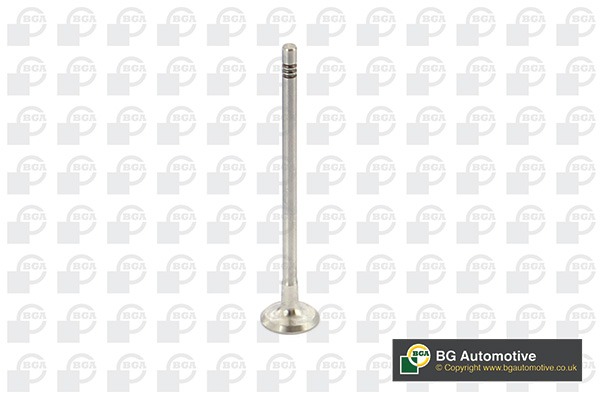 Outlet valve - V737875 BGA