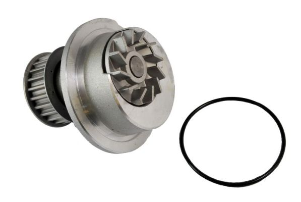 Water Pump - D1X024TT THERMOTEC