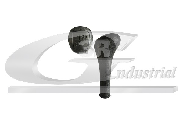 Gear Knob - 25504 3RG