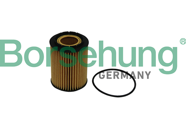 Oil Filter - B10516 Borsehung
