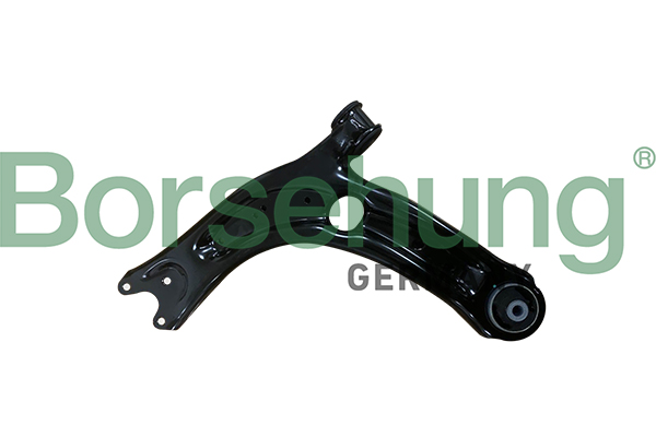 Braccio oscillante, Sospensione ruota - B10860 Borsehung