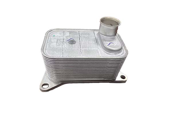 Radiatore olio, Olio motore - B10877 Borsehung