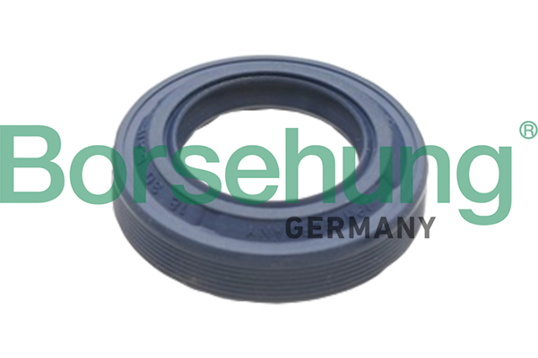 Wellendichtring, Differential - B17828 Borsehung