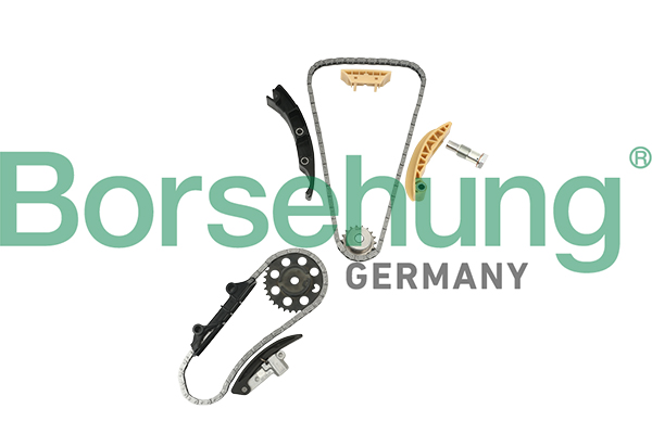 Timing Chain Kit - B18846 Borsehung