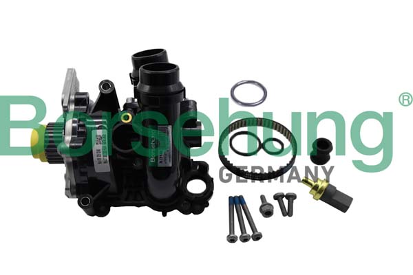 Kit riparazione, Pompa acqua - B19130 Borsehung